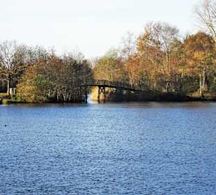 Eindrücke vom Rundweg durch den Volkspark Bokel
