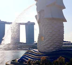 Merlion MBS