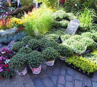 Rundgang über den Wochenmarkt Südermarkt 