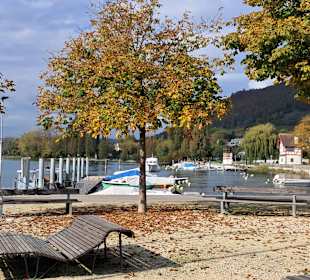 Uferpromenade Stein am Rhein