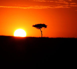 Sonnenaufgang Masei Mara