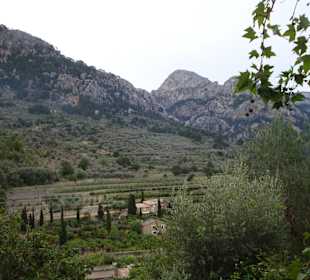 Am Weg von Fornalutx nach Sóller