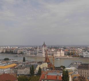 Blick auf die Donau.