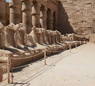 Ausflug nach Luxor