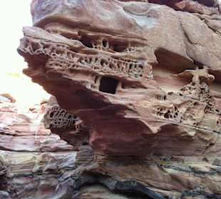 Steinbilder im Butchi Canyon