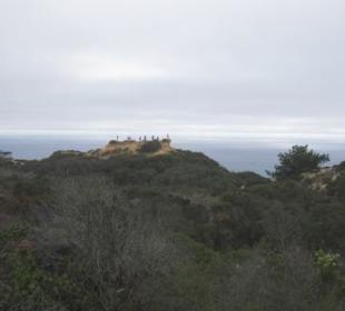 Blick über die Torrey Pines
