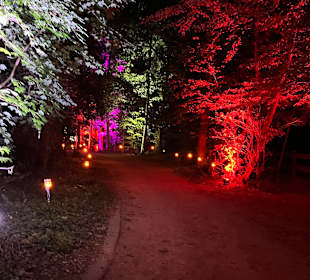 Herbstlichter Brückenkopfpark