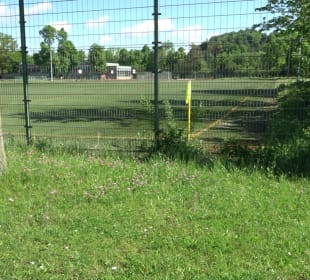 Sportplatz 1 (Rasen) Herlazhofer