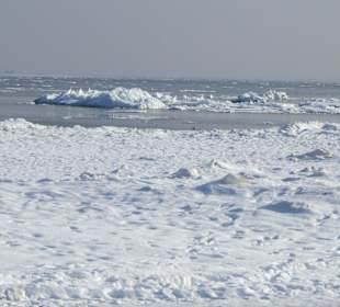 Strand Winter 2010 - Es war toll!