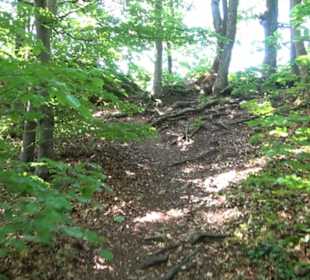 Schlupffels Beuren