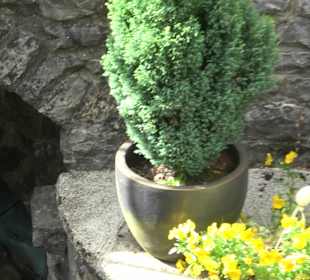 Wallfahrtskirche Heiligenbronn