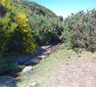 Am Rand der Hochebene: Levadinha da Serra