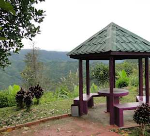 Wildlife Expeditions