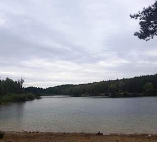 Birkensee voll in Sicht