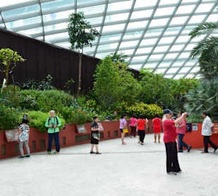 Gardens by the Bay