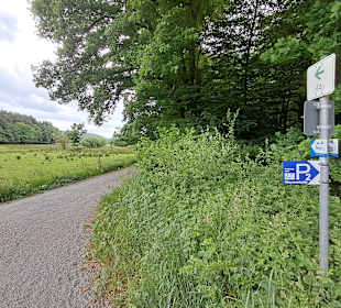 Kranichwoog Hütschenhausen in Hütschenhausen