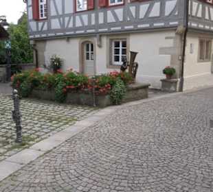 Stadtgeschichte aktiv erleben