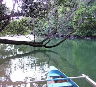 Das Flußwasser fließt sehr langsam ab