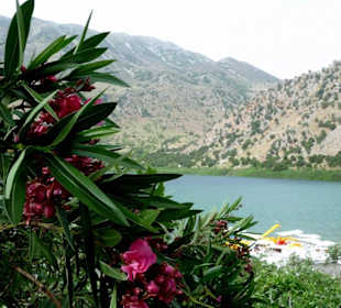 Pobliskie Kourna Lake