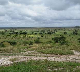 Sarova Salt Lick Game Lodge