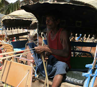 Unser Kutscher für die Besichtigungstour in Inwa