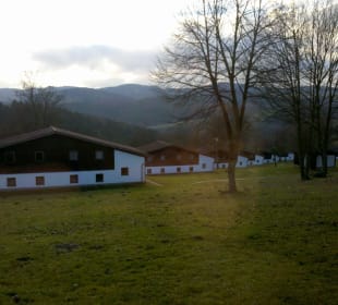Aussicht auf die weiteren Ferienhäuser