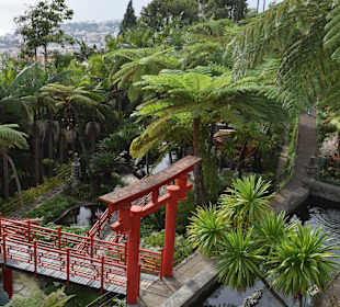 Asiatische Bereich
