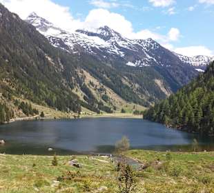 Riesachfälle