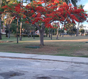 Stadtrundgang Varadero