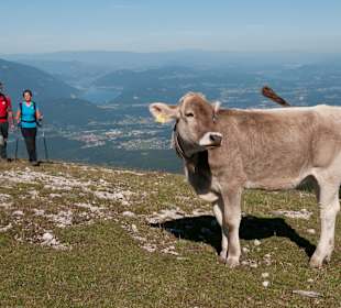 Wandern auf der Villacher Alpe