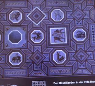 Museum für Vor- und Frühgeschichte