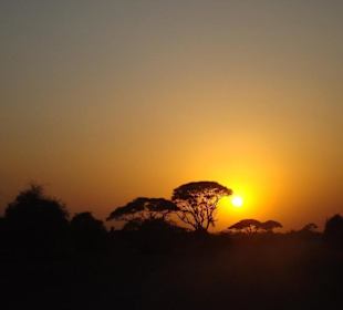 Sonnenuntergang Amboseli