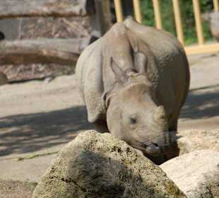 Tierpark Schönbrunn