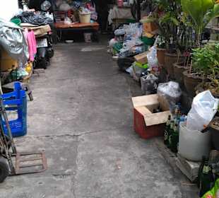 Mit Green-Mango Bangkok Touren das ursprüngliche BKK entdeck