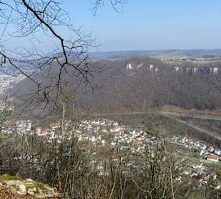 Ausblick vom Schloss nach Honau