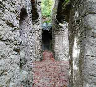 Im Ruinentheater des Felsengartens