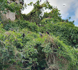 Los Haitises Nationalpark