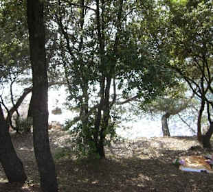 Zelena Laguna