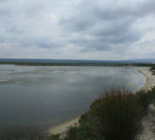 Das Vlei