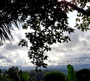 Ausblick von der Terrasse