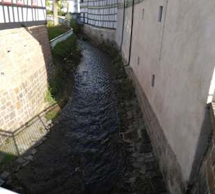 Lauter