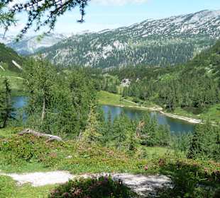 Auf der Tauplitzalm