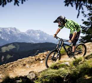 (c) Bikepark Leogang / Artisual