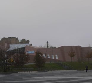 Der Zoo vom Parkplatz aus gesehen