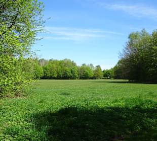 Eindrücke aus dem Walter-Peters-Park