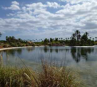 Ein bisschen wie in einer Oase!