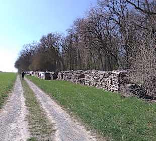 Wendepunkt fast erreicht