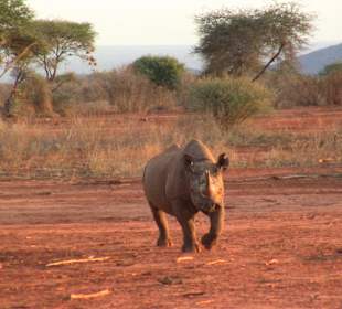 Was für ein Glück und Zufall
