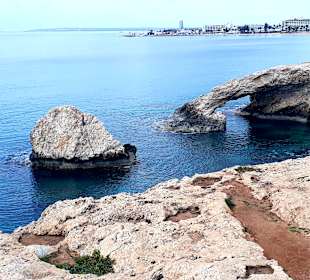 Ayia Napa Bogen Monachus Monachus