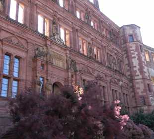 Schloss Heidelberg